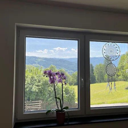 Apartmán Mauerbluemchen *