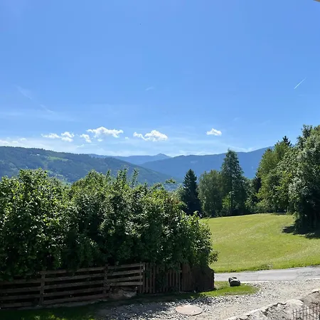 Mauerbluemchen *